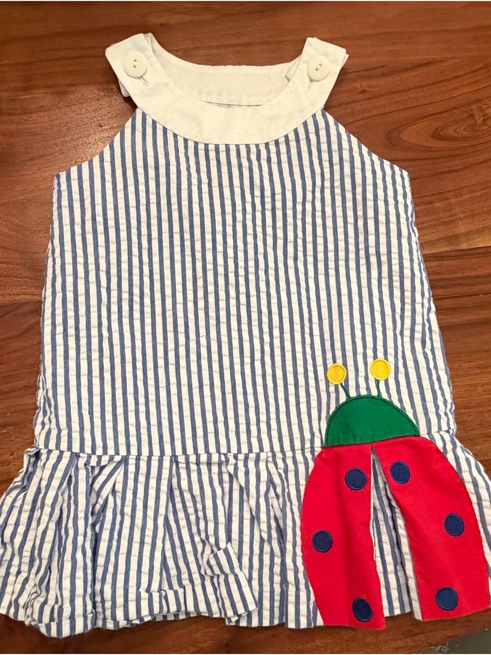 Florence Eiseman Blue and White Striped Dress with Red Ladybug Applique